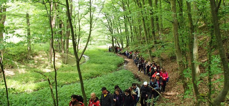Najava akcije: 21. pohod „KARAĐORĐEVIM STOPAMA“