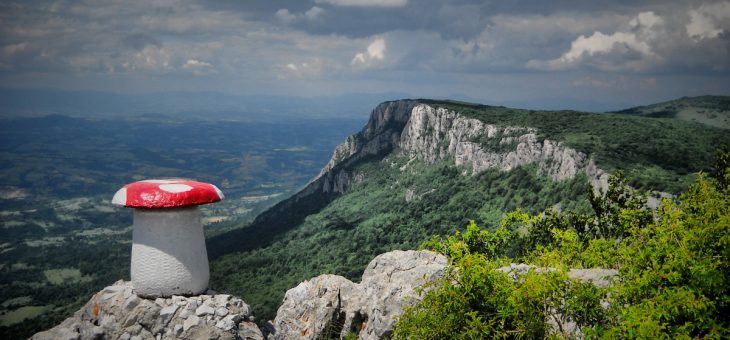 Najava akcije: U čast mog donora