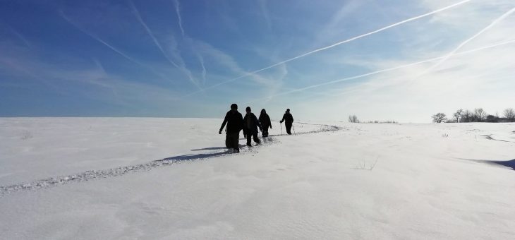 Najava akcije: Novogodišnja šetnja Radovanjskim brdima