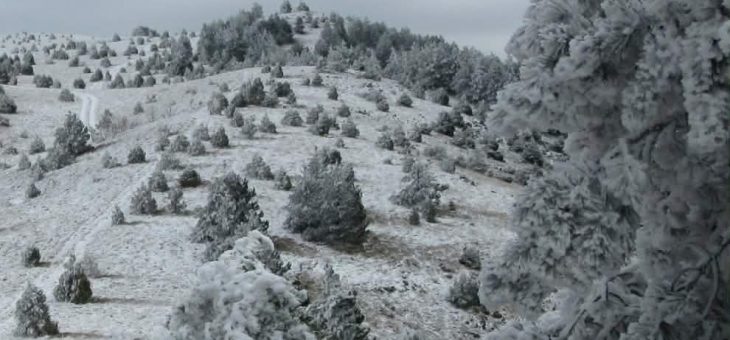 Najava akcije: Sretenjski susret planinara na Žaračkoj planini