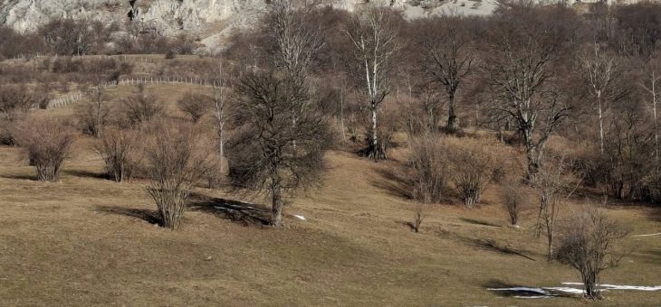 Izveštaj sa akcije: Bogojavljenski uspon na Beljanicu