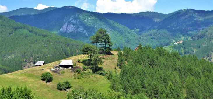 Najava akcije: Šargan 2026.